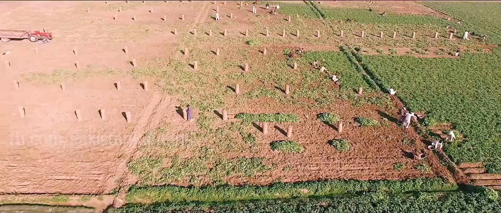 Ser uth k geo new Pakistani movie-on chotoo gang-2016 True story Based in Rajan Pur Pakistan