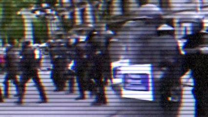 Экспертиза профессора Элбакян Е.С. деятельности психолога А.Невеева