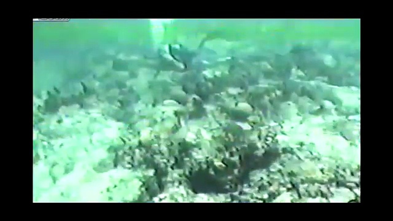 Treasure Hunter Plans To Find Osama bin Ladens Casket In The Arabian Sea