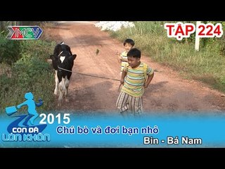 Con Đã Lớn Khôn tập 224: hai cậu bé đánh vật với chú bê | 151114.