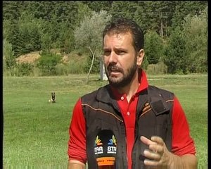 Εάν πάρετε και το σκύλο σας ταξίδι, τι να προσέξετε...