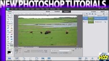 Tutorial Photoshop Elements 12_ How to Recompose a Photo Using Recompose
