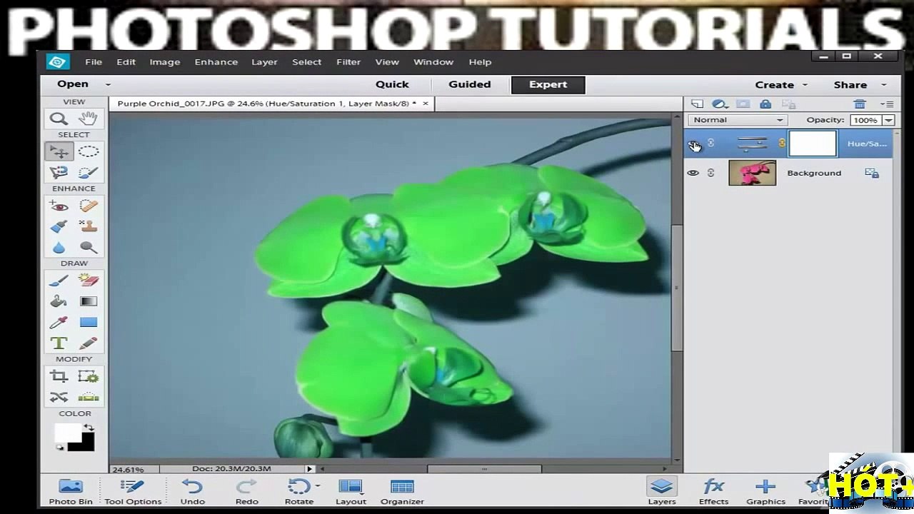 Tutorial Photoshop Elements 12_ How to Use Layers - Introduction to Layers