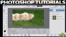 Tutorial Photoshop Elements 12_ How to Use Layers - Working With Layers