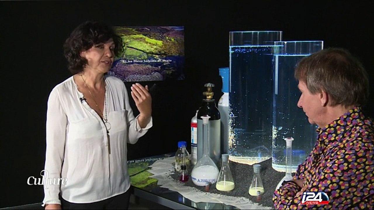 "Je ne sais pas pourquoi j'aime Israël, je m'y sens bien", Michel Houellebecq