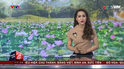 khám phá những nét thú vị của đồng sen Tháp Mười.