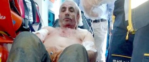 Anne Ayının Saldırısından Yavruları Sayesinde Kurtuldu