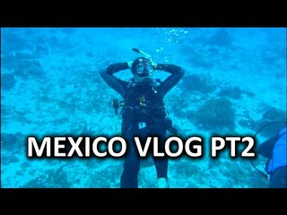 Mexico "Work-cation" Vlog - THE SEQUEL!