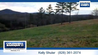 Homes for sale - Lot 17 Susie Court, Blairsville, GA 30512