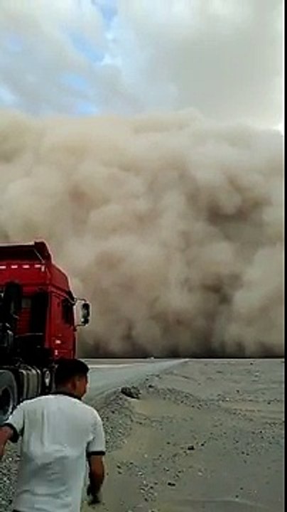 Sand Storm Sits Completely Still
