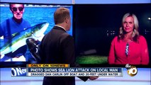 Fisherman Dragged Overboard in Sea Lion Attack