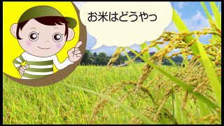 サタケ お米の学校TV【第17回：色のついたお米がある？】