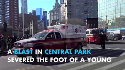 Explosive device injures man in New York's Central Park