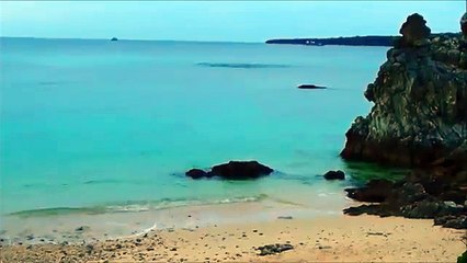 本部町・崎本部・ゴリラチョップの海情報 2014 12 19