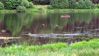 Природа Литвы.( Бирштонас)    Nature of Lithuania. (Birstonas)