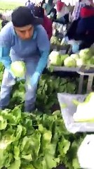 bahr edda kam karna penda