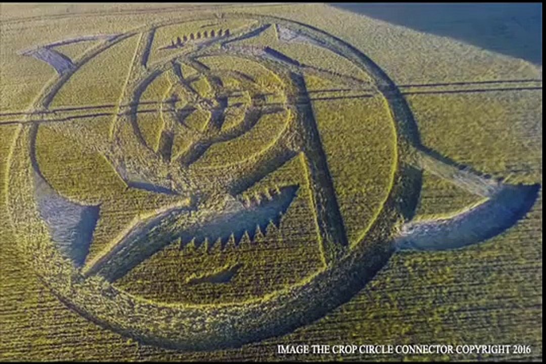 CROP CIRCLE in The Ridgeway, nr Hackpen Hill, Wiltshire, UK - June 23, 2016 .