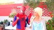 Frozen Elsa multicolored hair and a pink spider dog Catwoman