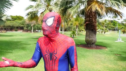 Pink Spider Challenge changes the hair color and by Frozen Elsa Chernіy vs Spiderman vs Joker!