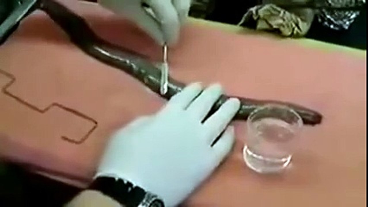 Yılanın Zehri Suyu Bakın Ne Hale Getirdi!