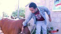 Bakra Eid Animal's Tale   3 Idiotz Pakistan