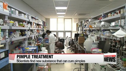 Eggplants contain possible pimple treatment