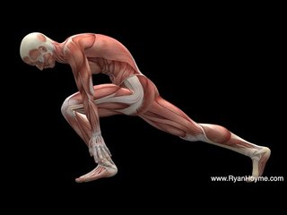 Standing Stretches - Muscles