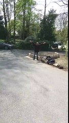 Drunk guy falls in a flower bed