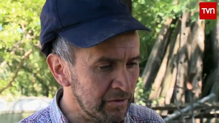 Frutos del País 2016-Pueblo de Indios