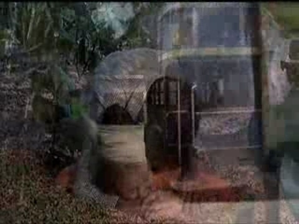 Live And Let Die Mix