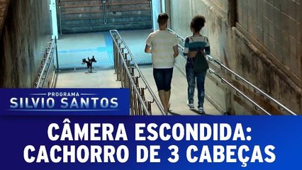 Câmera Escondida: Cachorro de Três Cabeças