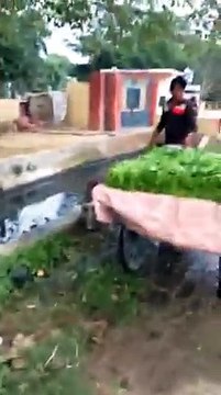 Funny Indian Videos Whatsapp Videos 2016 Videos || Latest Funny Whatsapp Vidoes