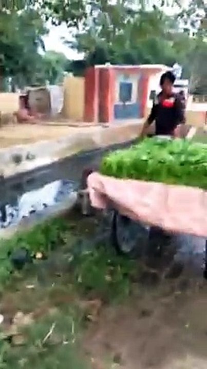 Funny Indian Videos Whatsapp Videos 2016 Videos || Latest Funny Whatsapp Vidoes