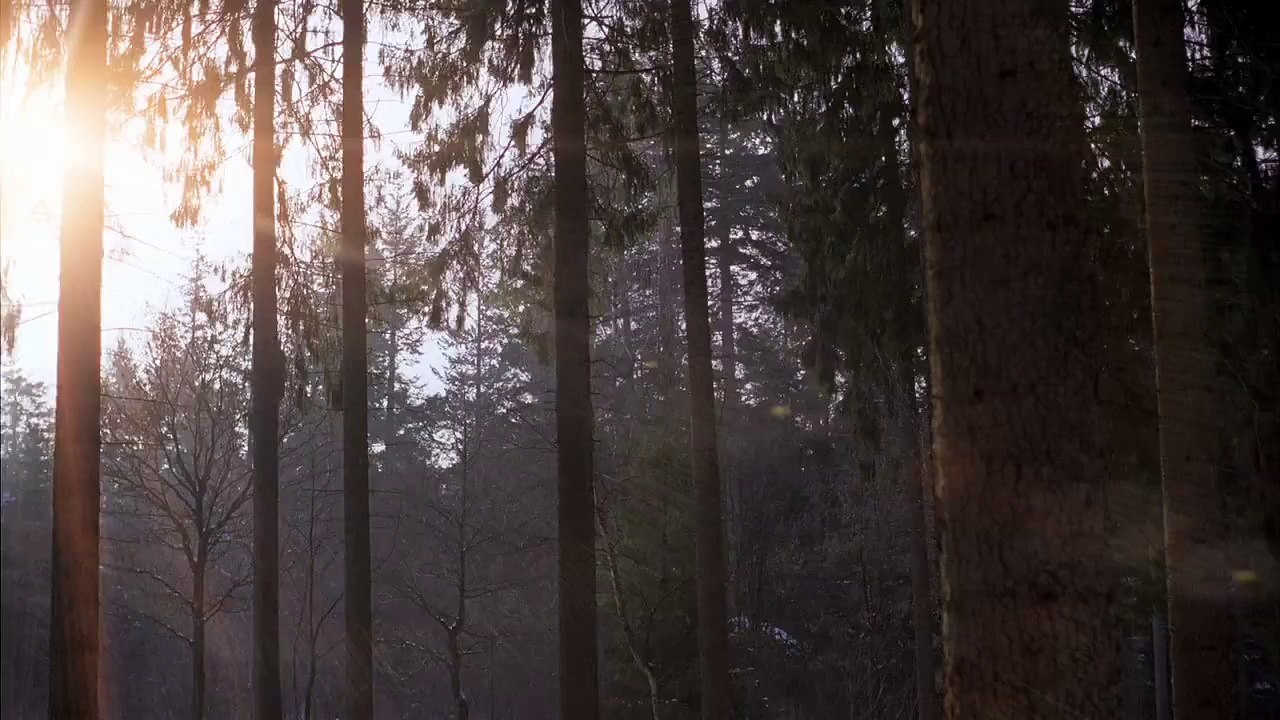 Amazing Ad of Mercedes Benz