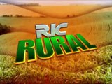 RIC RURAL | Plantio de mandioca exige cuidados específicos | 29/04/2012