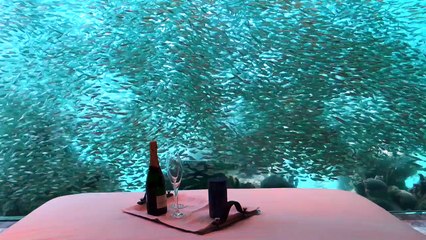 The Floating Seahorse in Dubai!