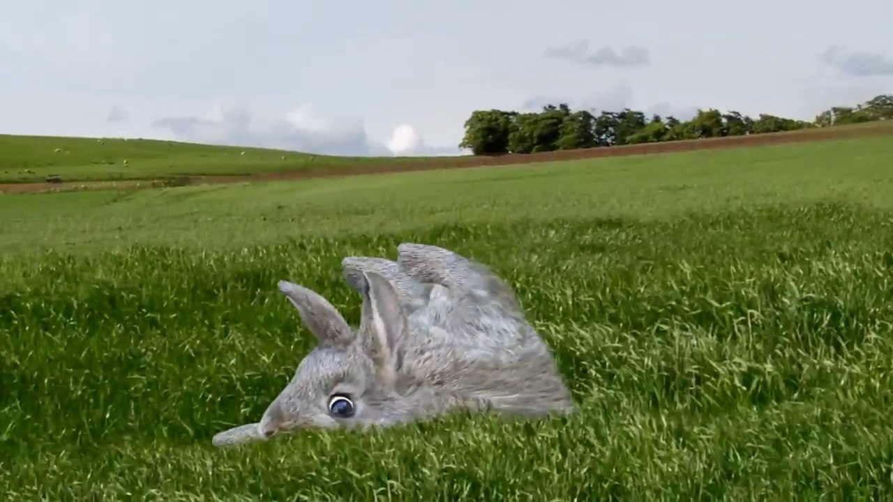 7 milliards de lapins animés en gros monstres terrifiants !