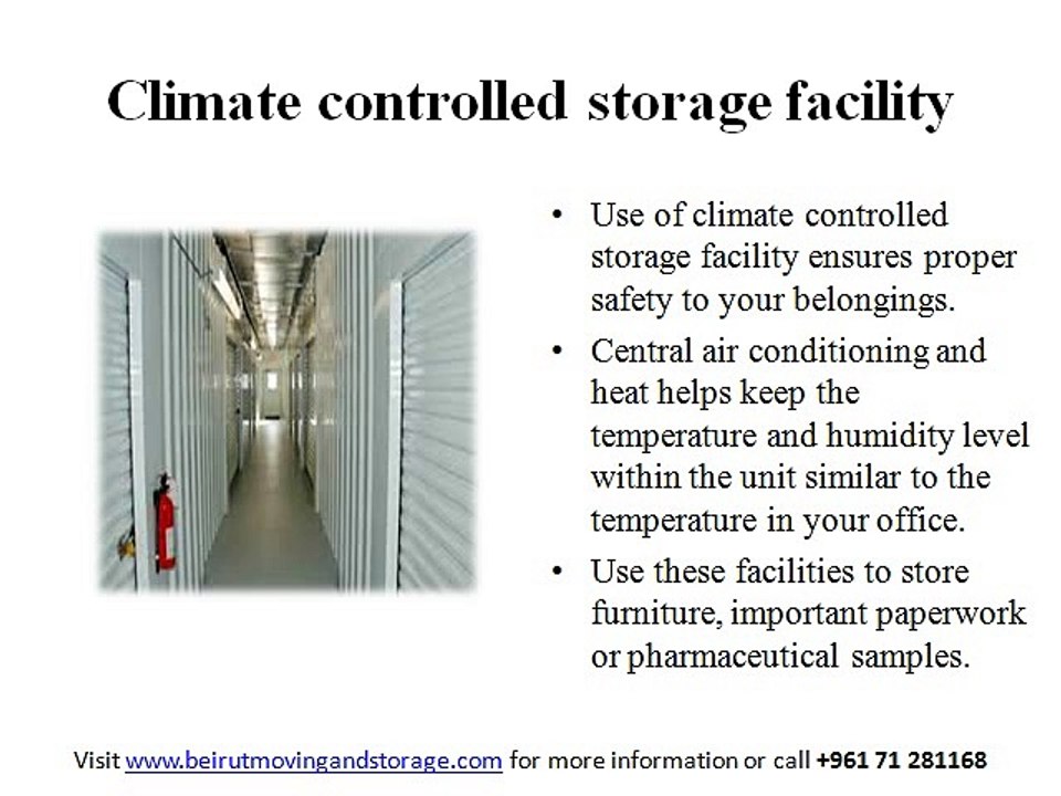5 Tips for Business Warehouse Storage Facility in Beirut