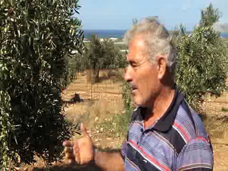 CultureSciences - "Discussion sur les paradoxes des systèmes agricoles et alimentaires en région méditerranéenne"