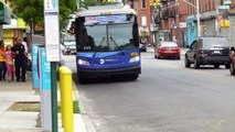 MTA NYCT Bus: New Flyer XD40 #7350 #7346 & Nova-RTS #5042 B46SBS & LcL Buses at Halsey St