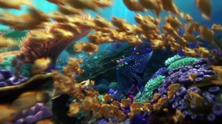 FINDING DORY Official Trailer #2 (2016) Disney Animation [HD]