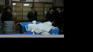 日高見.酒蔵見学.やなぎ／稲穂がゆれる.2009 1 27酒屋独創塾