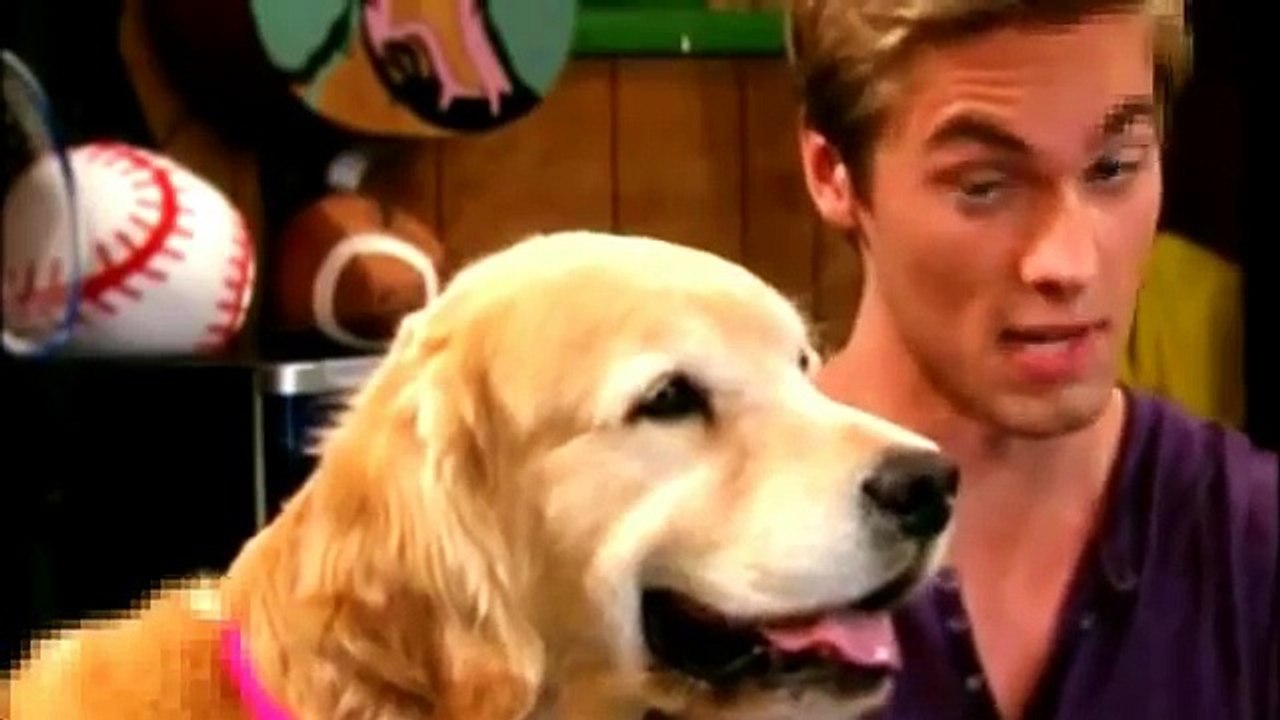 I Didn't Do It S02E15 - Doggie Daddy