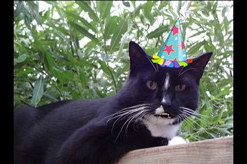 Happy 29 Birthday Hubby... I love U