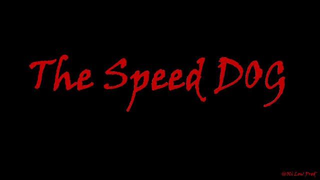The Speed Dog @Oli Low Prod