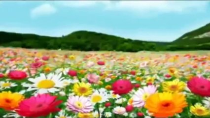 Quảng Cáo Cho Bé - Full