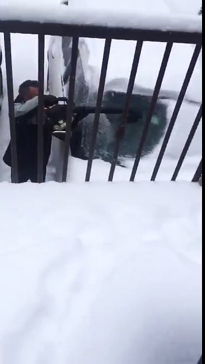 Abattu par un souffleur à feuille