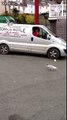 Cette mouette danse les claquettes pour avoir à manger