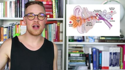 Why Do You Hate The Sound Of Your Own Voice