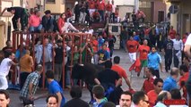 ESCALOFRIANTE COGIDA POR UN TORO EN RINCON DE SOTO LA RIOJA 29 09 2014